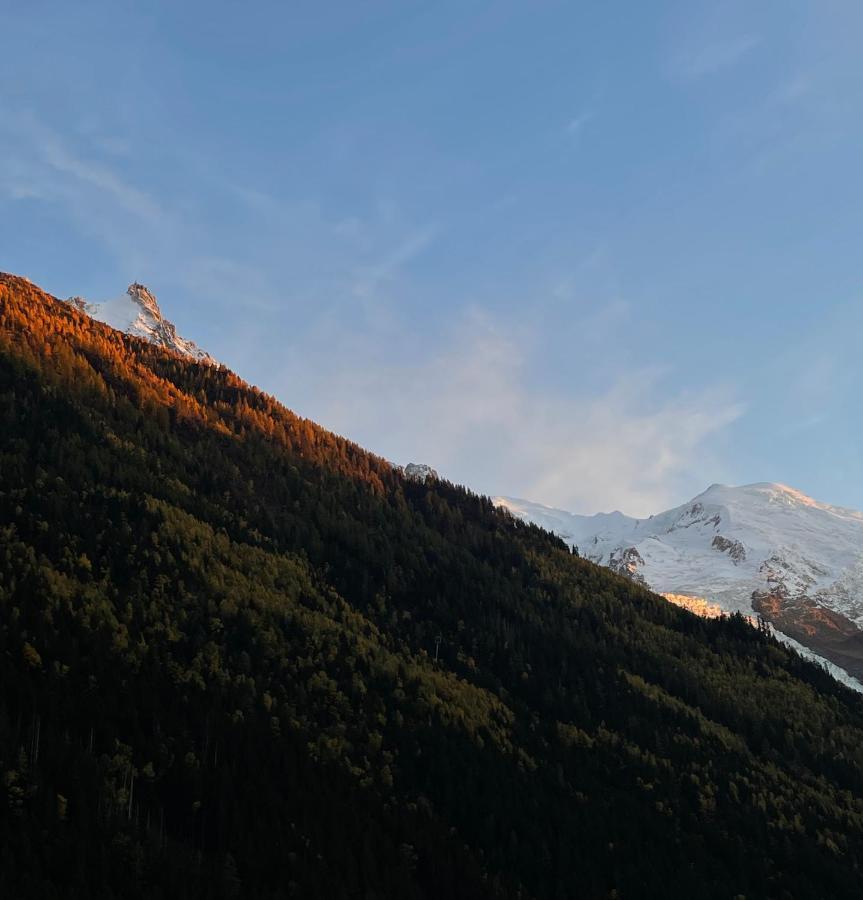 Center & Unique Mountain View Chamonix Exterior foto